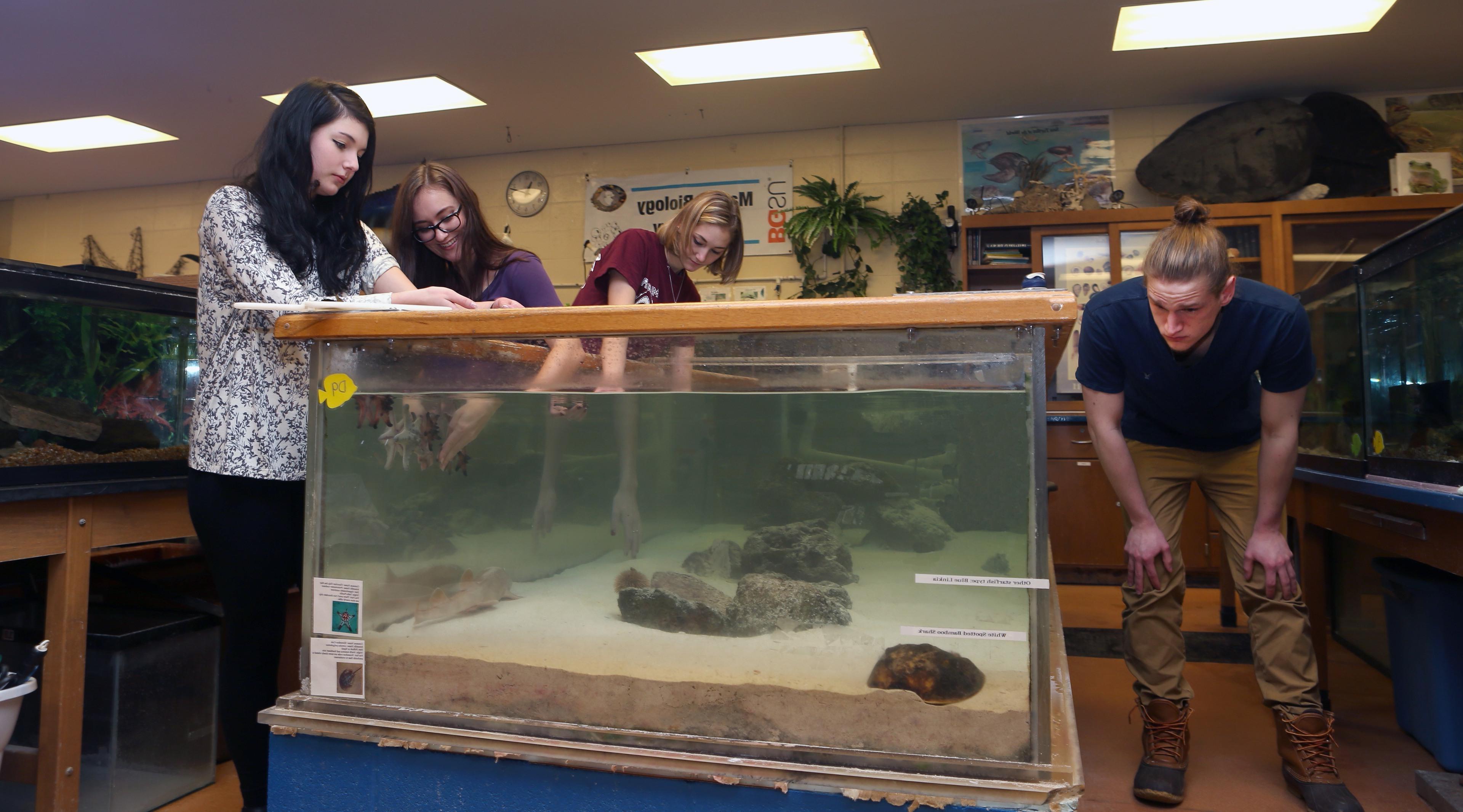 Marine and Biology students observe a tank in a lab